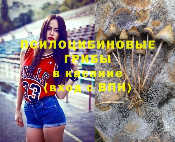 стафф Армянск
