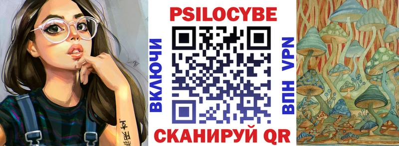 Галлюциногенные грибы Psilocybe  цены наркотик  Рудня 